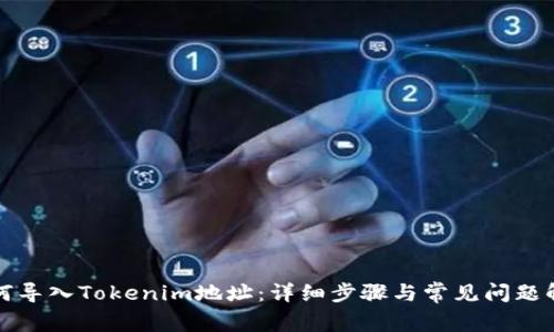 如何导入Tokenim地址：详细步骤与常见问题解答