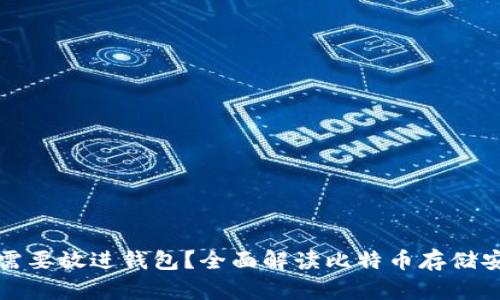 比特币是否需要放进钱包？全面解读比特币存储安全性与选择