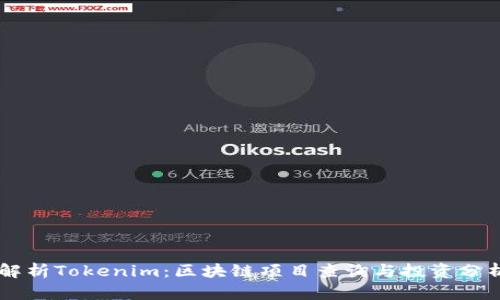 深度解析Tokenim：区块链项目查询与投资分析平台