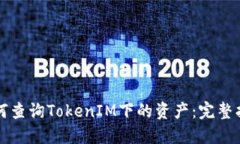 如何查询TokenIM下的资产：