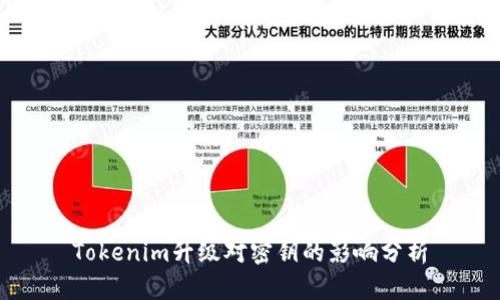 Tokenim升级对密钥的影响分析