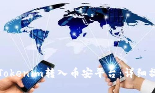 如何将Tokenim转入币安平台：详细操作指南