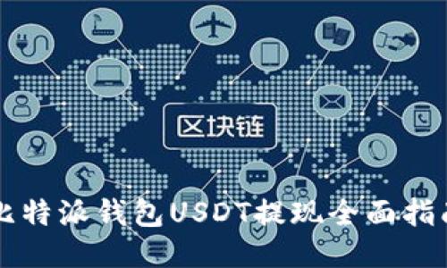 比特派钱包USDT提现全面指南