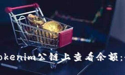 如何在Tokenim公链上查看余额：全面指南