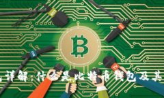 比特币钱包详解：什么是