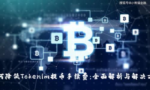 如何降低Tokenim提币手续费：全面解析与解决方案