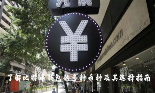了解比特币钱包的多种币种及其选择指南