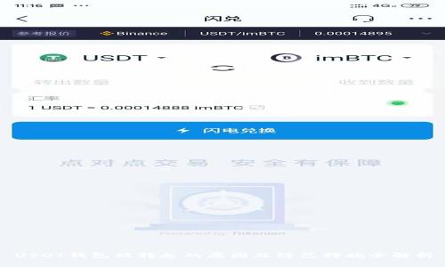 USDT钱包被转走的原因及防范措施全解析