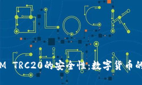 探讨TokenIM TRC20的安全性：数字货币的保护与风险