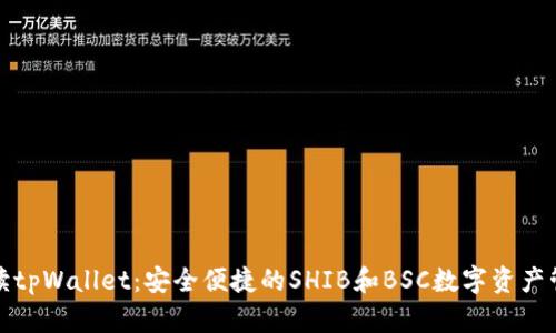 全面解读tpWallet：安全便捷的SHIB和BSC数字资产管理工具