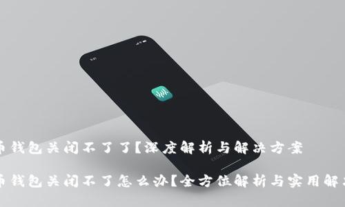 比特币钱包关闭不了了？深度解析与解决方案

比特币钱包关闭不了怎么办？全方位解析与实用解决方案