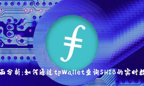 全面分析：如何通过tpWallet查询SHIB的实时数据