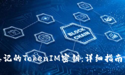 如何找回忘记的TokenIM密钥：详细指南与实用技巧