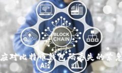 如何应对比特币钱包码丢