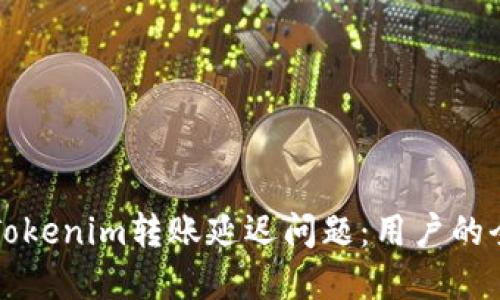 如何解决Tokenim转账延迟问题：用户的全方位指南