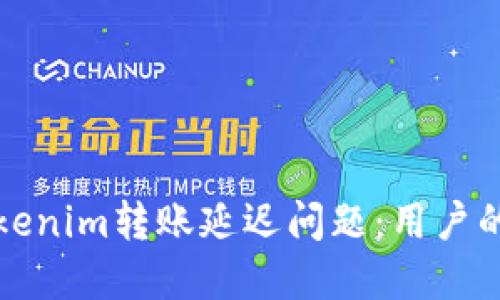 如何解决Tokenim转账延迟问题：用户的全方位指南