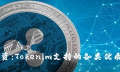 多样化投资：Tokenim支持的