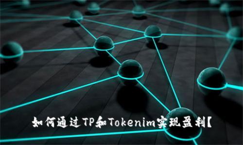 如何通过TP和Tokenim实现盈利？