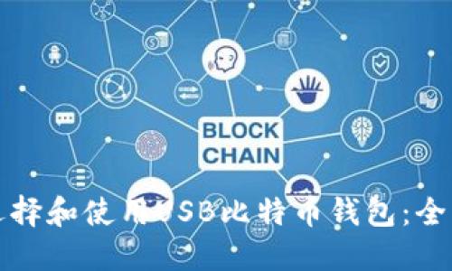 如何选择和使用USB比特币钱包：全面指南