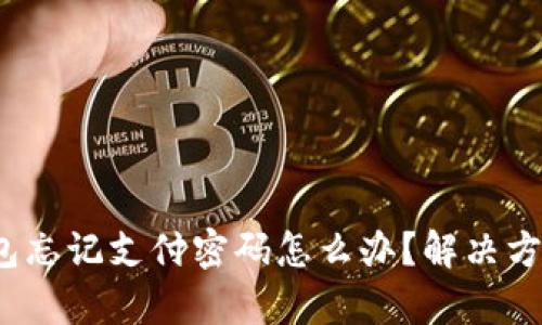IM Token钱包忘记支付密码怎么办？解决方案与步骤解析