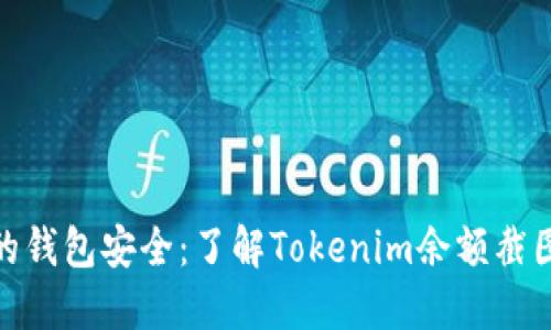 如何保护你的钱包安全：了解Tokenim余额截图涉及的风险