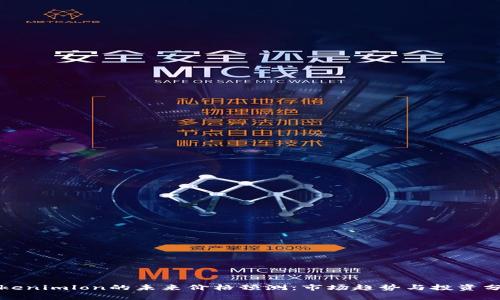 Tokenimlon的未来价格预测：市场趋势与投资分析