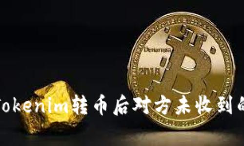 如何解决Tokenim转币后对方未收到的常见问题