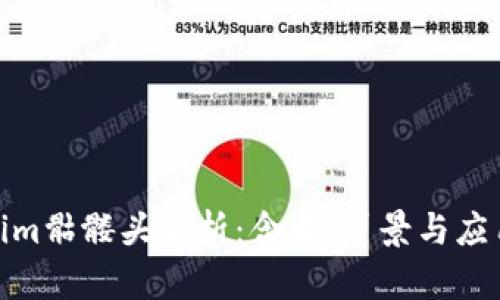 Tokenim骷髅头解析：含义、背景与应用实例