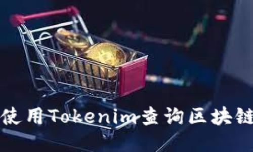 如何使用Tokenim查询区块链信息