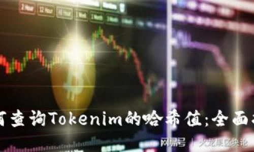 如何查询Tokenim的哈希值：全面指南