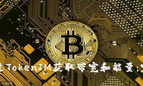 如何通过TokenIM获取带宽和能量：完整指南