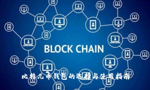 比特儿币钱包的选择与使用指南
