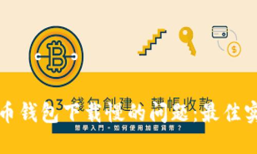 解决比特币钱包下载慢的问题：最佳实践与技巧