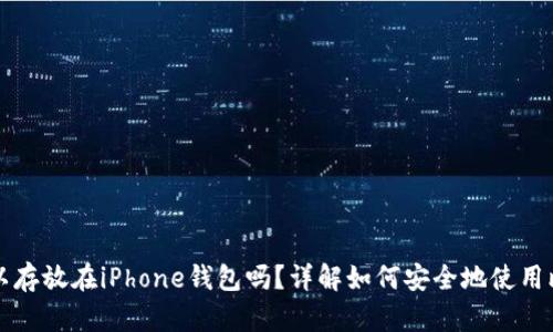 比特币可以存放在iPhone钱包吗？详解如何安全地使用比特币钱包
