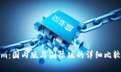 Tokenim：国内版与国际版的