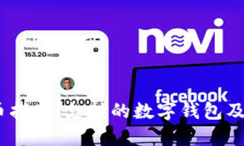 USDT提币指南：支持的数字钱包及选择要点