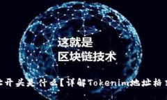 Tokenim地址开头是什么？详