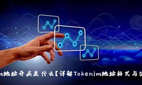 Tokenim地址开头是什么？详解Tokenim地址格式与使用方法